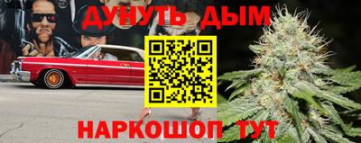 герыч Кингисепп