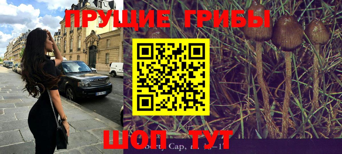 Галлюциногенные грибы Psilocybine cubensis  Вход с VPN  Ленинск-Кузнецкий 