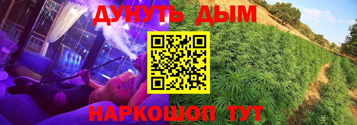 Шишки марихуана Amnesia Ленинск-Кузнецкий